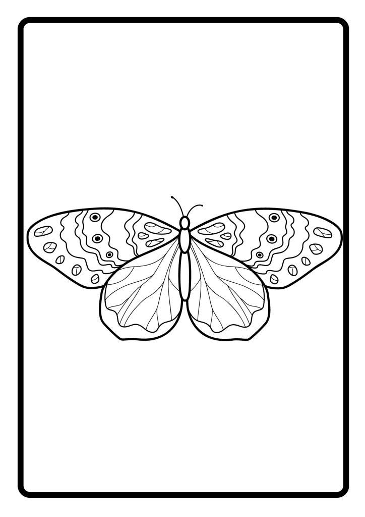 BUTTERFLY BLACK AND WHITE VECTOR 5