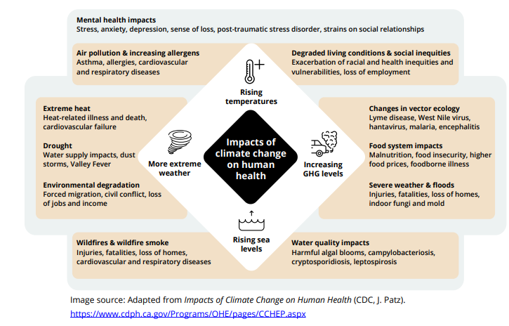 Infographic titled Impacts of Climate Change on Human Health
