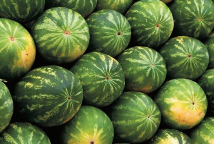 Photo of watermelons