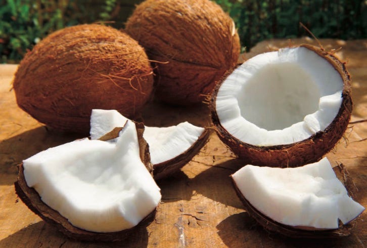 photo of coconuts