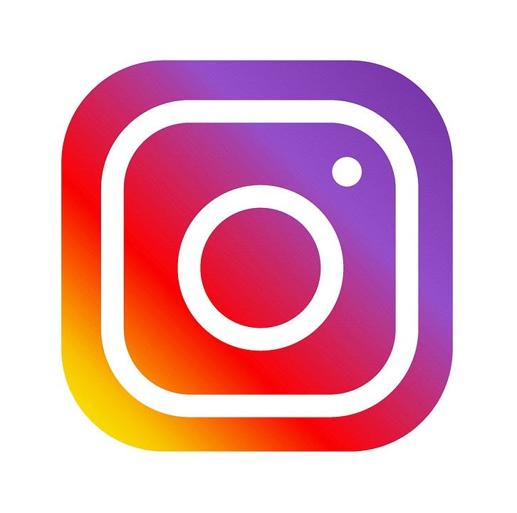 logo instagram pour cv