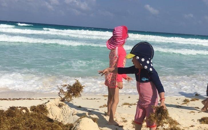 Children playing with seaweed on a beach