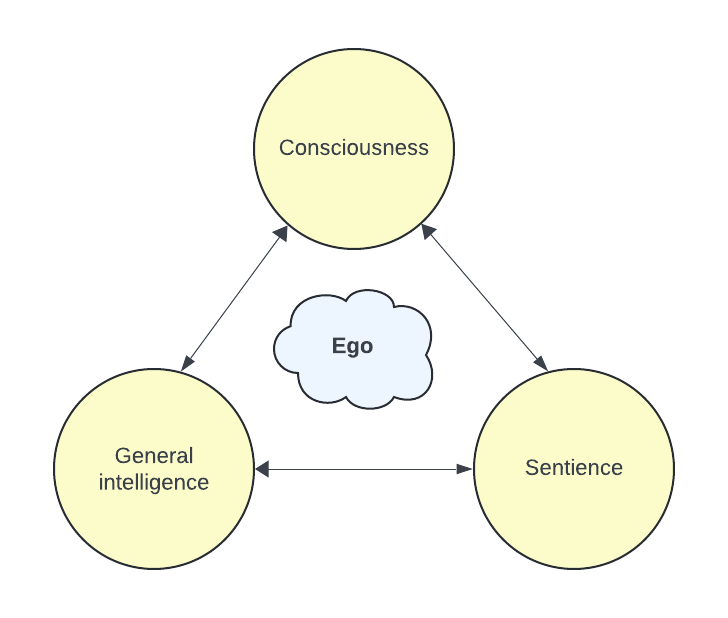 Short note on consciousness and the CSR