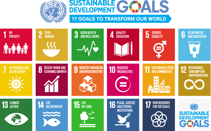 The Sustainable Development Goals: 17 Goals to Transform Our World.