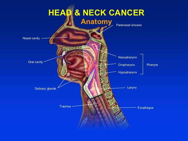 Head and neck cancer treatment by chemotherapy