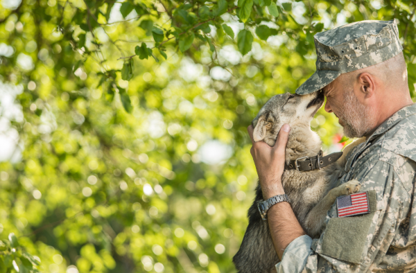 Pet Shipping on a Budget: Saving Strategies for Military Families