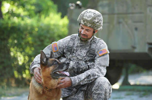Pet and Family Experience: Navigating Military Life with Furry Companions