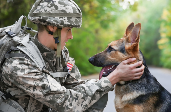 Managing a PCS with Pets: A Military Family’s Relocation Checklist