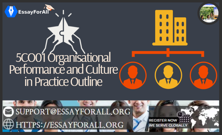 5CO01 Organisational Performance and Culture in Practice Outline: Essay For All