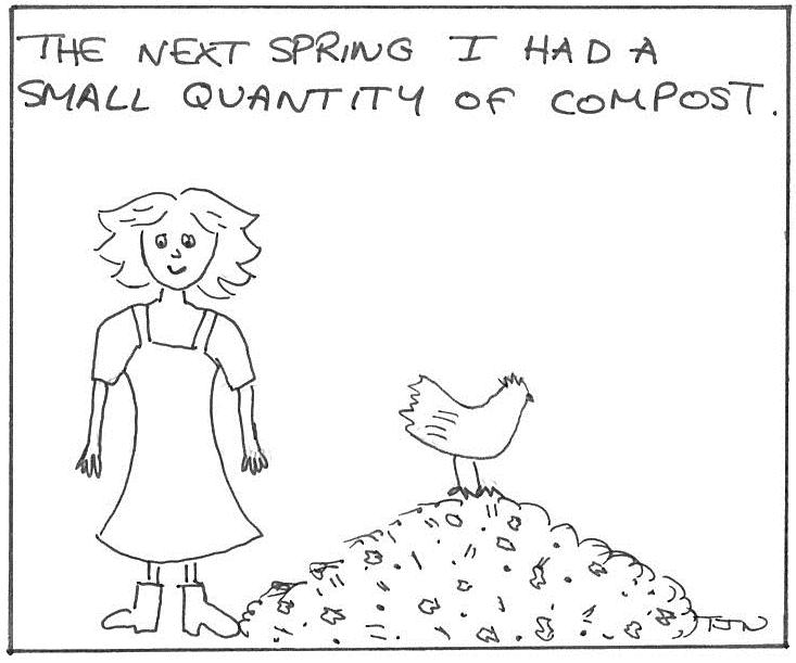 Woman, chicken and a compost pile