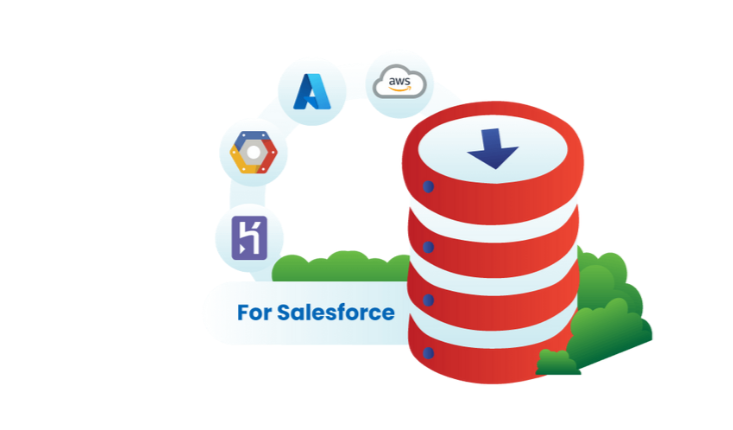 Archiving Salesforce Data with DataArchiva Using External Cloud & On-premise sytem