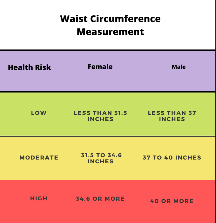 Waist measurement, waist circumference, fitness, lean body mass