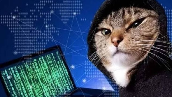 Interesting Reads of the Week (05/05/2026)