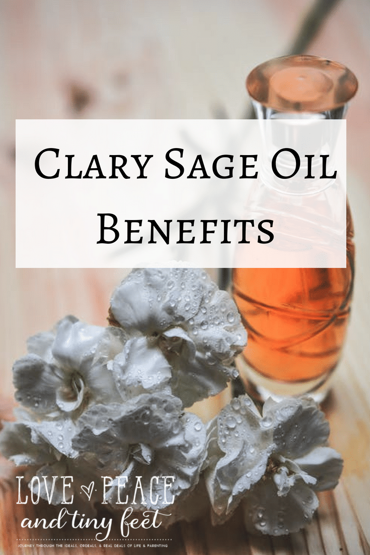 Are you suffering from skin allergies? Or you just want to make your skin even more beautiful? Clary Sage Oil is perfect for you and your skin. Read more about the surprising clary sage oil benefits for your skin. 