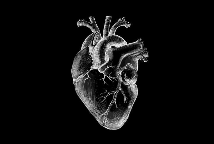 The Pulse and the Pivot: Giving WhitePaper a Heartbeat