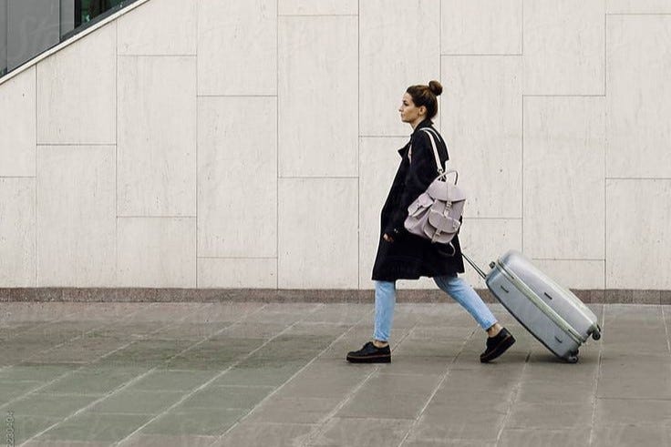 Travelling with Pets On Breeze Airways Travelling with Pets On Breeze Airways