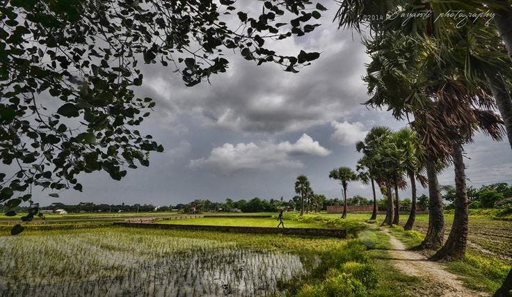 Photo of rainy season in rural Bengal