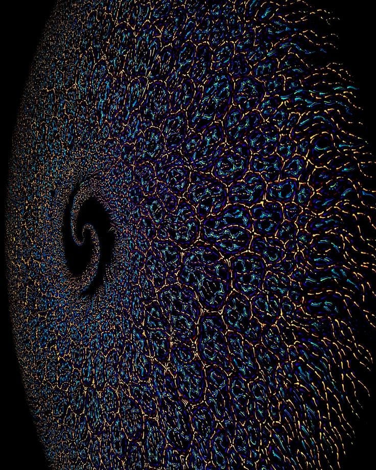 The Quantum Sea