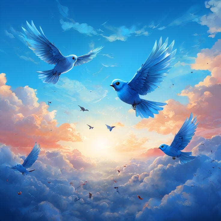 The Bird I Envy