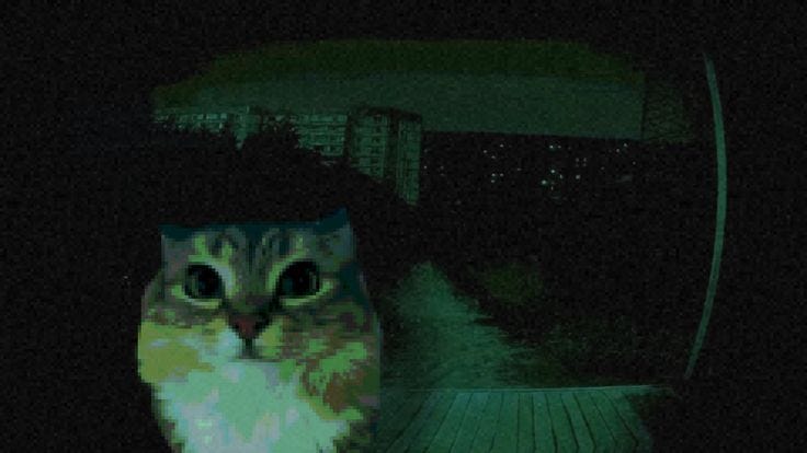 Seeing Pictures the Way a Clustering Algorithm Does: Image Segmentation with K-Means, GMMs, and…