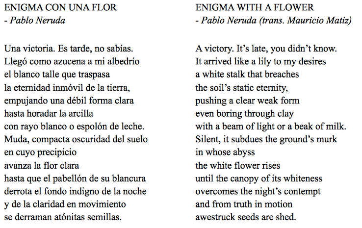 Original Pablo Neruda poem and Mauricio Matiz translation.