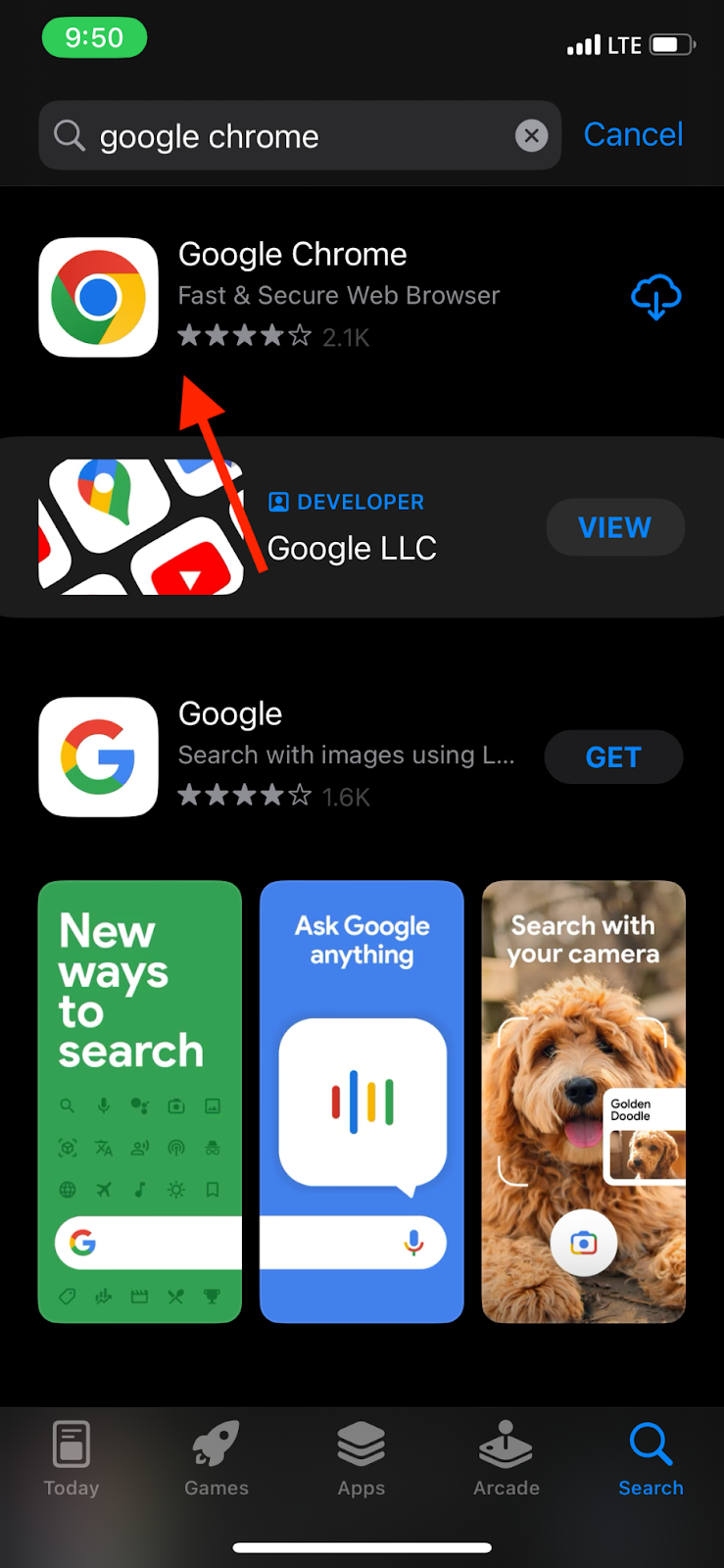 Google Chrome search result in the apple app store