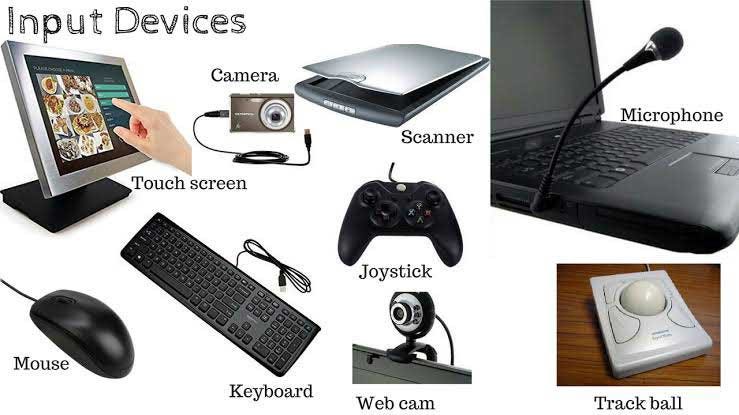 Input Devices image