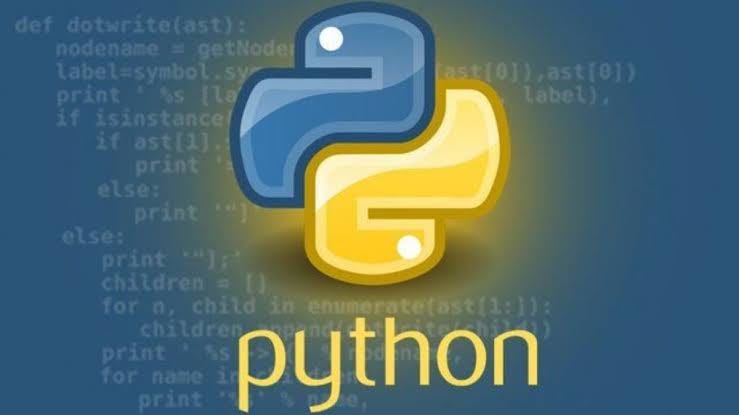 Begin Your Programming Journey: Mastering Python in Less Than 8 Months