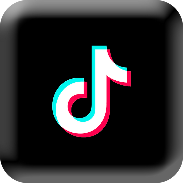 TikTok Logo