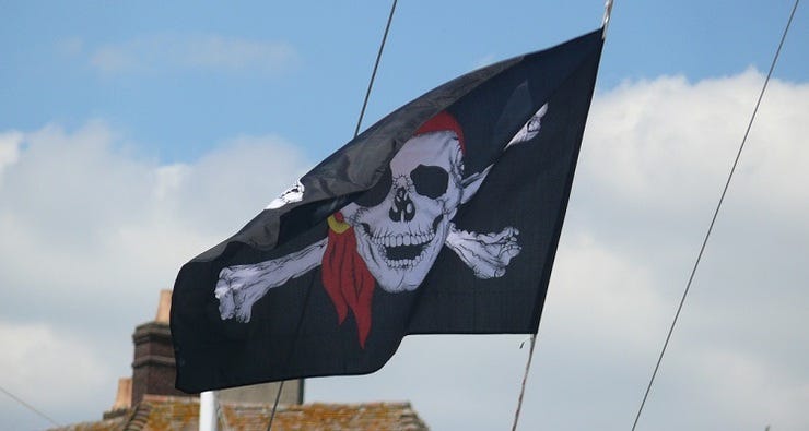 Pirate flag mickael estace