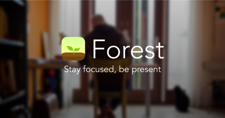 Forest website preview