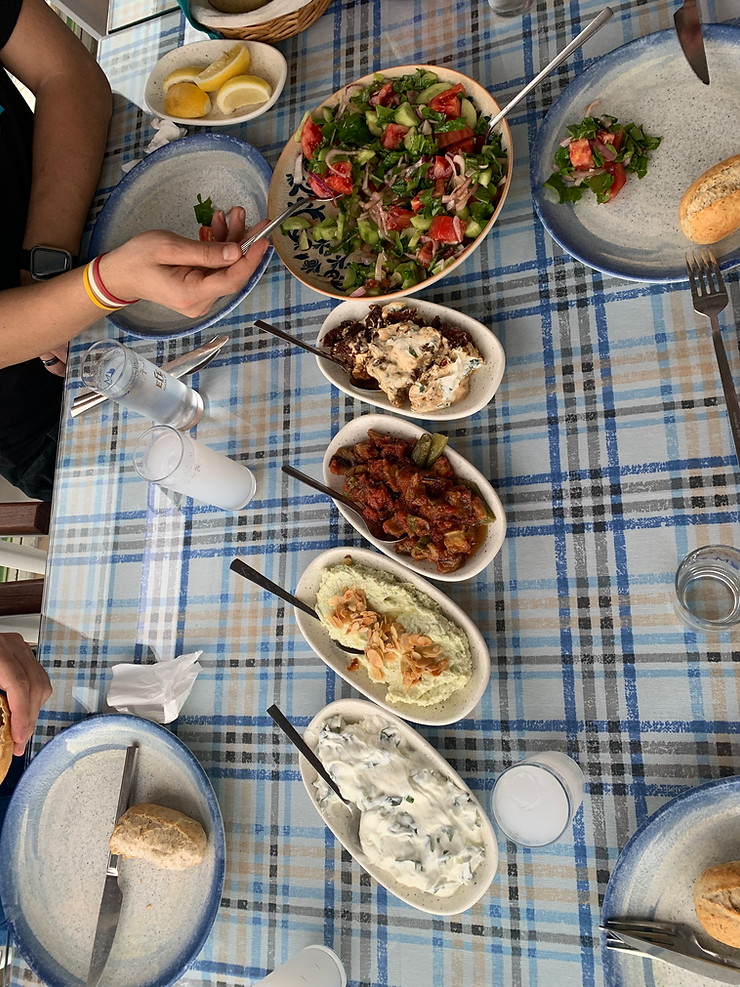 Salad and Turkish Mezze (cold starters)