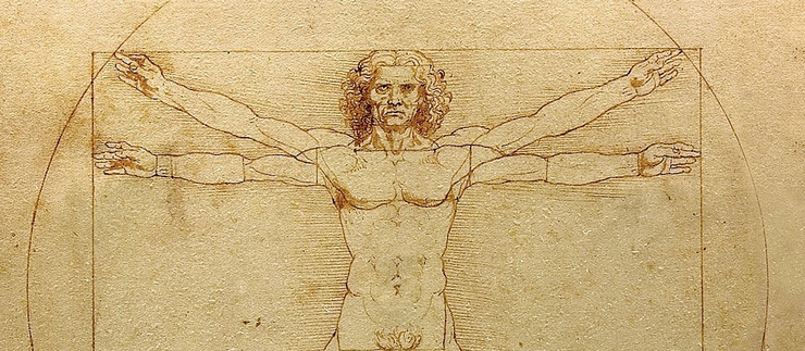 Da vinci vitruve