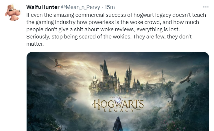 WaifuHunter: If even the amazing commercial success of hogwart legacy doesn’t teach the gaming industry how powerless is the woke crowd, and how much people don’t give a shit about woke reviews, everything is lost. Seriously, stop being scared of the wokies. They are few, they don’t matter.