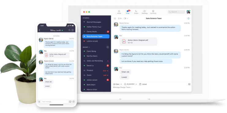 Zoom chat enterprise messaging features