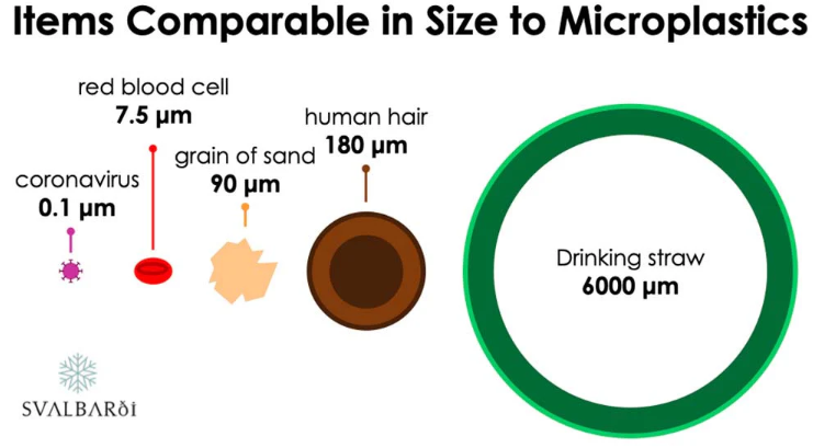 Modified Enzymes: using nature’s workhorses to solve the plastic pollution problem.