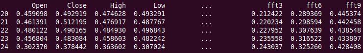 pandas dataframe head showing 5 time steps.