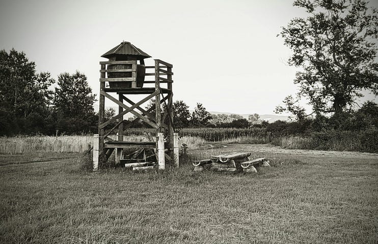 A photo of a hunter’s watch tower with a set of table and benches next to it.