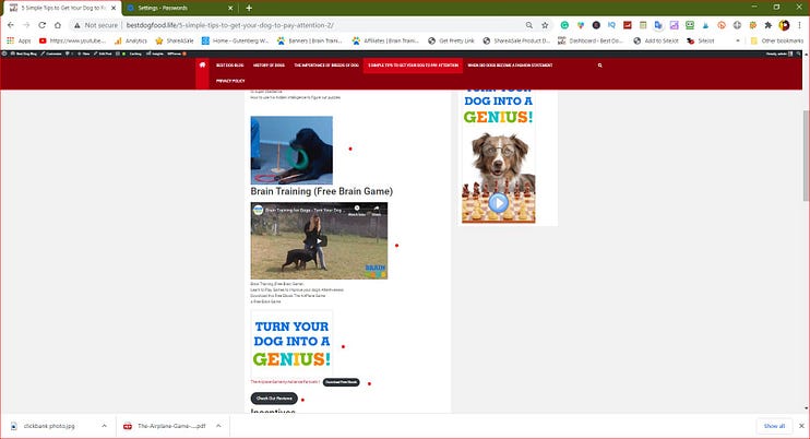 Dynamic Banners Videos and Hotplinks in Buttons and also the free ebook as a giveaway