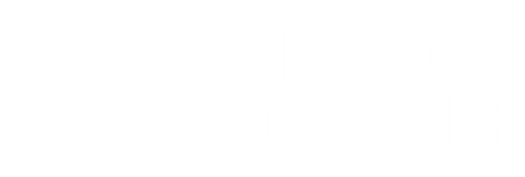 Keep up to date on the world’s energy issues with the Energy for Growth Hub Newsletter