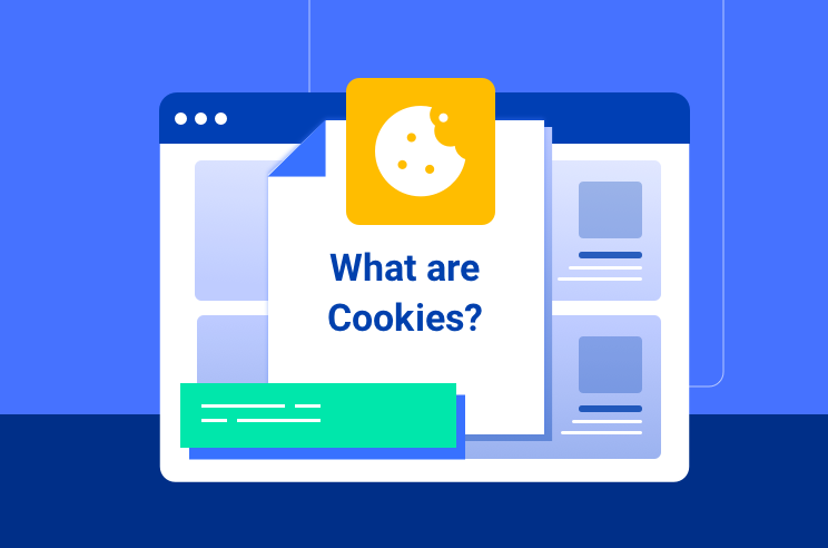 What Are Website/Browser Cookies?