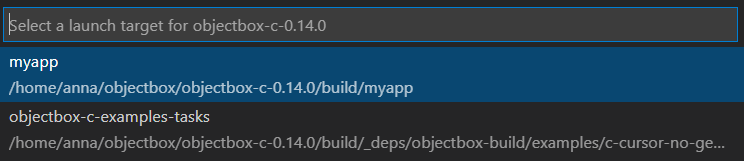 select myapp as the launch target in vs code