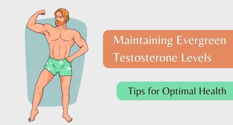 Maintaining Evergreen Testosterone Levels: Tips for Optimal Health