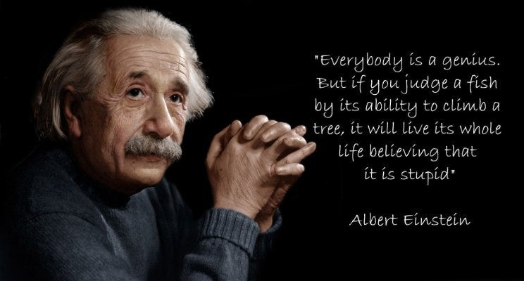 Everyone is a genius. But if you judge a fish by it’s ability to climb a tree, it will life it’s life believing it is stupid.