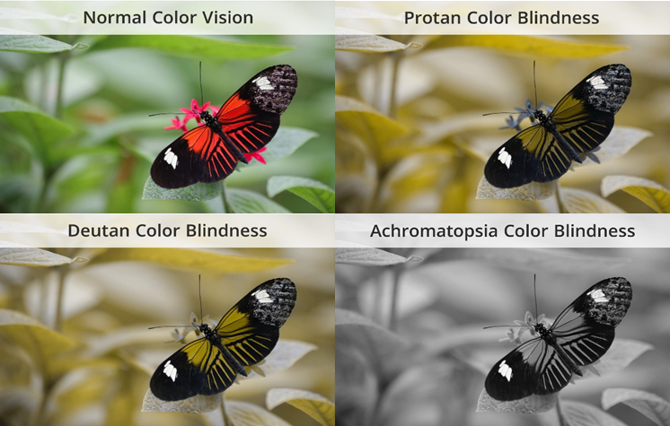 Color blind variants of a colourfull image