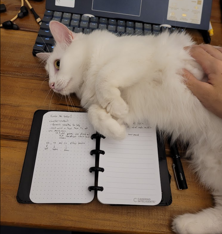 My cat lying between my notebook and keyboard