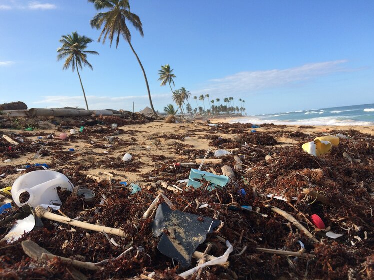 A dirty beach covered in plastic debris