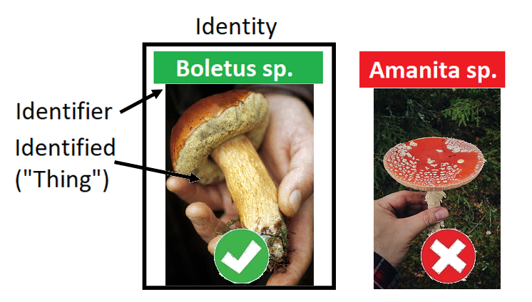 diagram explaining relationship between identities and identifiers