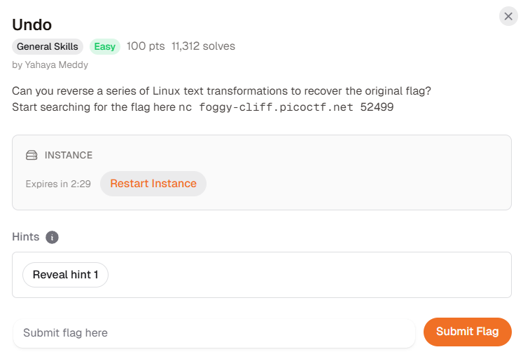 PicoCTF Writeup: Undo (Easy)