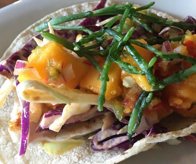 HodgeonRepeat blog — Healthy Food 911: post-pandemic palate revival — fish tacos